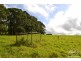 Malanda QLD 4885