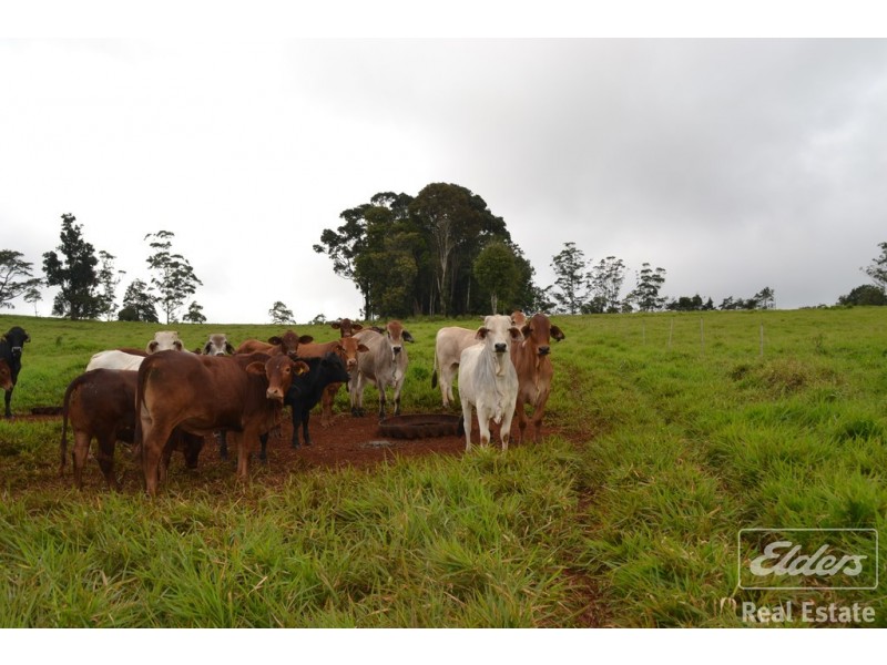 Malanda QLD 4885