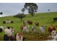 Malanda QLD 4885