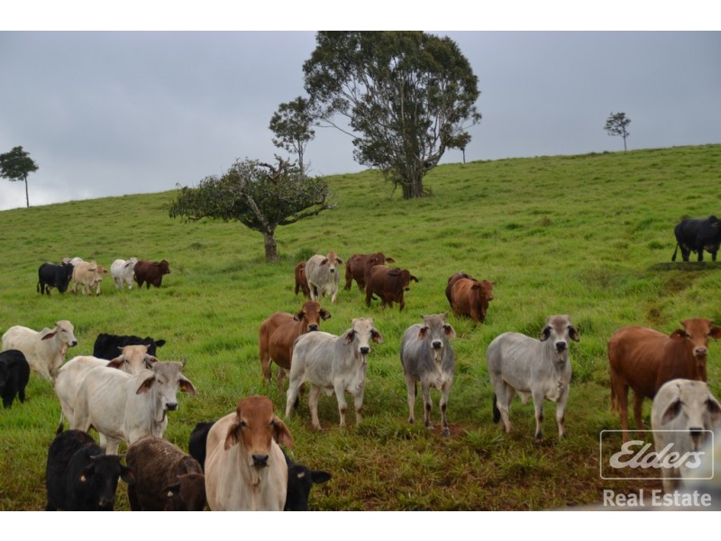 Malanda QLD 4885