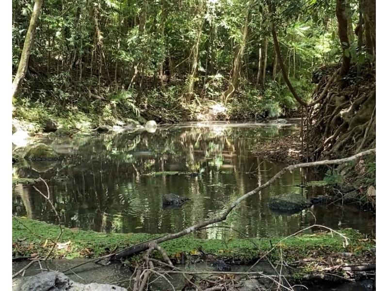 Yungaburra QLD 4884