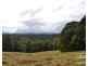 Yungaburra QLD 4884