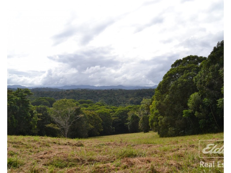 Yungaburra QLD 4884