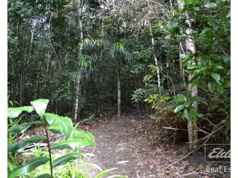 Yungaburra QLD 4884