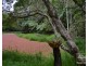 Yungaburra QLD 4884