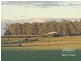 Yungaburra QLD 4884