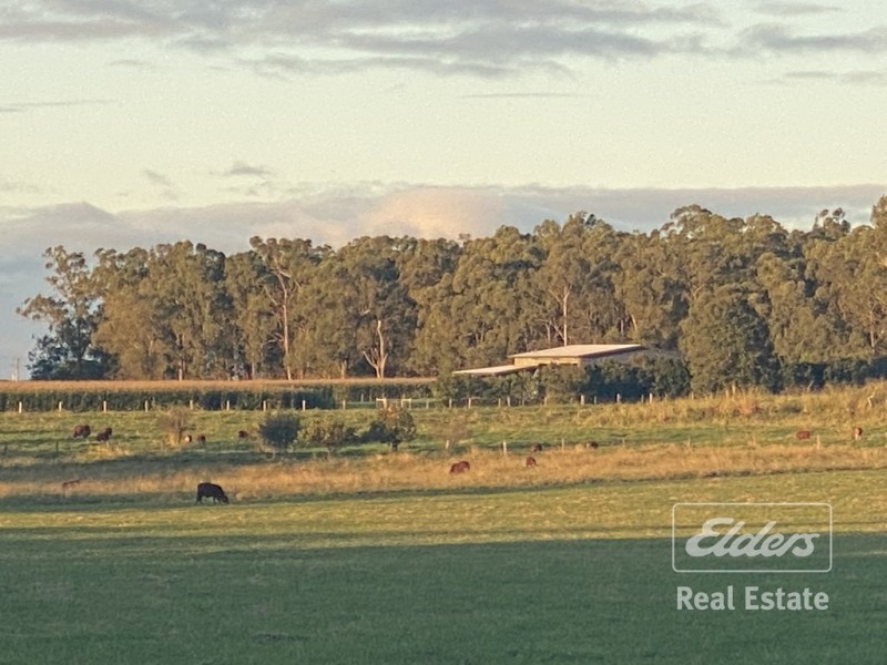 Yungaburra QLD 4884