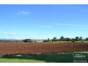 Yungaburra QLD 4884
