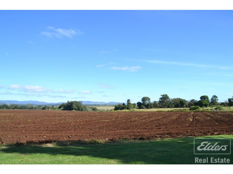 Yungaburra QLD 4884