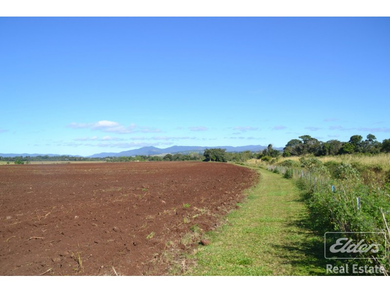Yungaburra QLD 4884