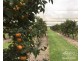 Atherton QLD 4883