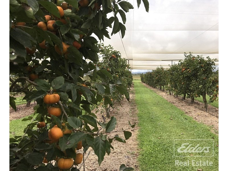 Atherton QLD 4883