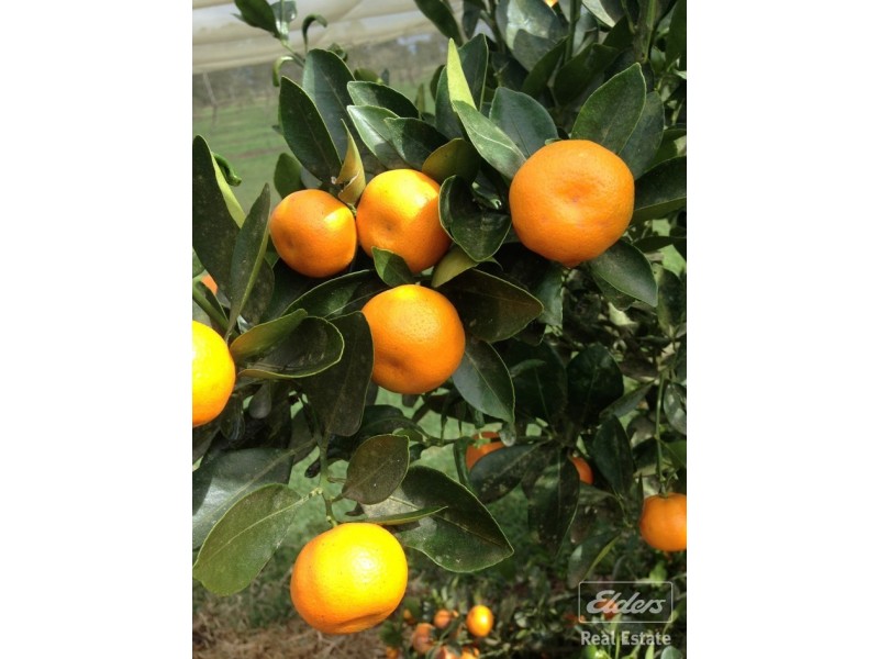 Atherton QLD 4883