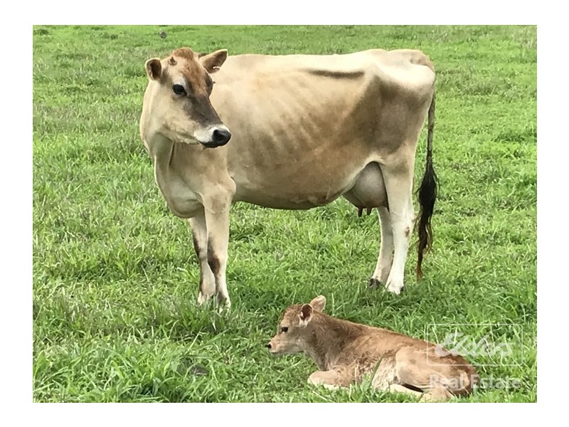 Atherton QLD 4883