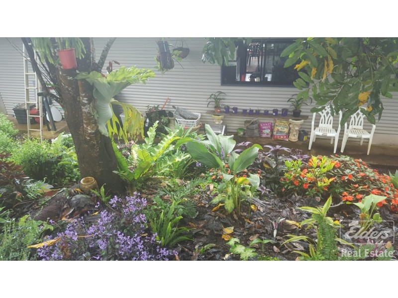 Millaa Millaa QLD 4886