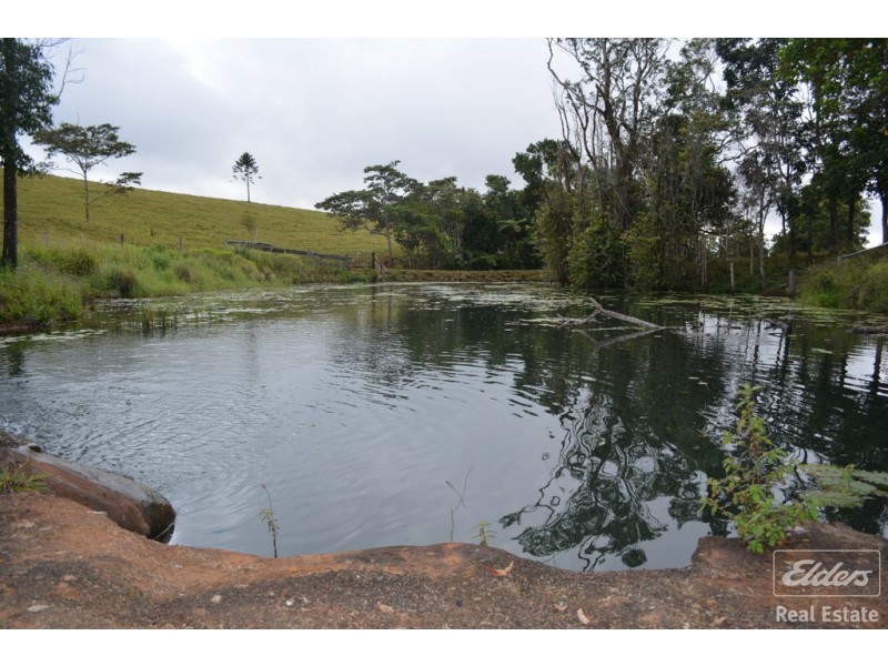 Millaa Millaa QLD 4886
