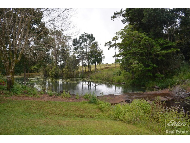 Millaa Millaa QLD 4886