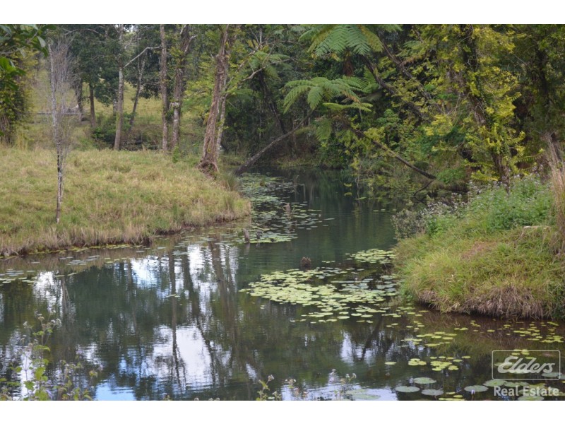 Millaa Millaa QLD 4886