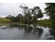 Millaa Millaa QLD 4886