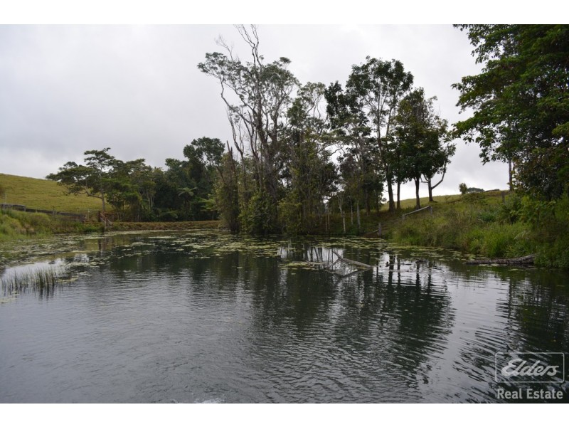 Millaa Millaa QLD 4886