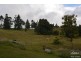 Millaa Millaa QLD 4886
