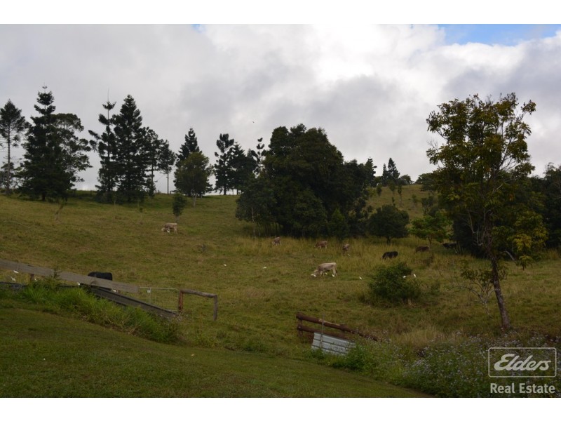 Millaa Millaa QLD 4886