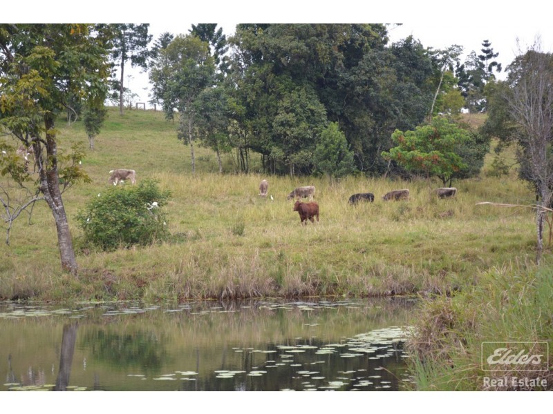 Millaa Millaa QLD 4886
