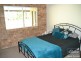 Millaa Millaa QLD 4886
