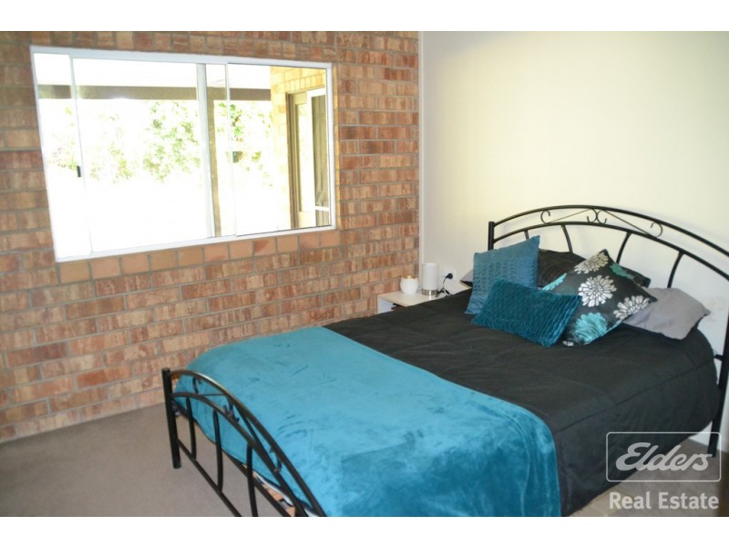 Millaa Millaa QLD 4886