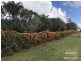 Malanda QLD 4885
