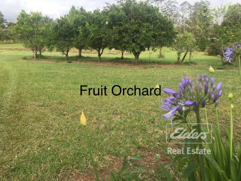 45 Burt Road, Malanda QLD 4885