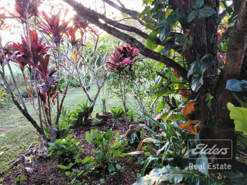 Malanda QLD 4885