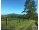 Millaa Millaa QLD 4886