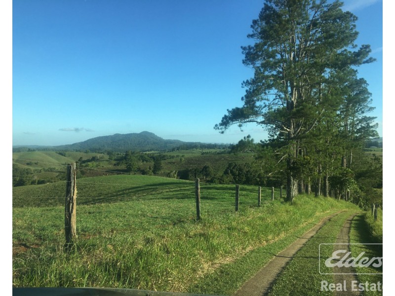 Millaa Millaa QLD 4886