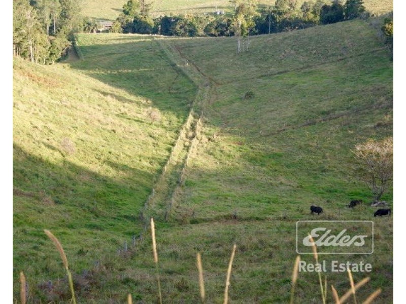 Millaa Millaa QLD 4886