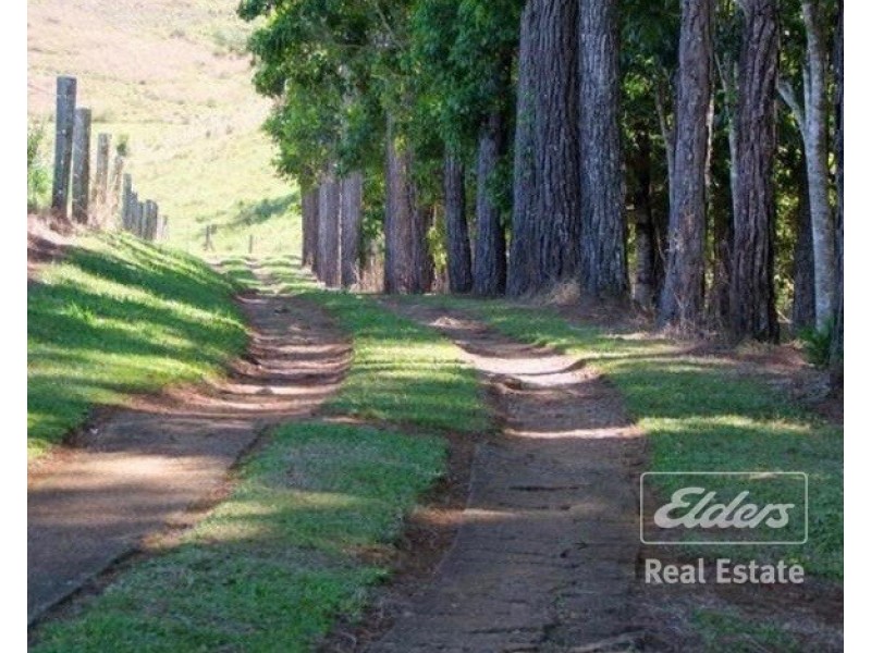 Millaa Millaa QLD 4886