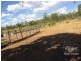 3 BAHR ROAD, Pentland QLD 4816