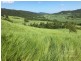 Japoonvale QLD 4856