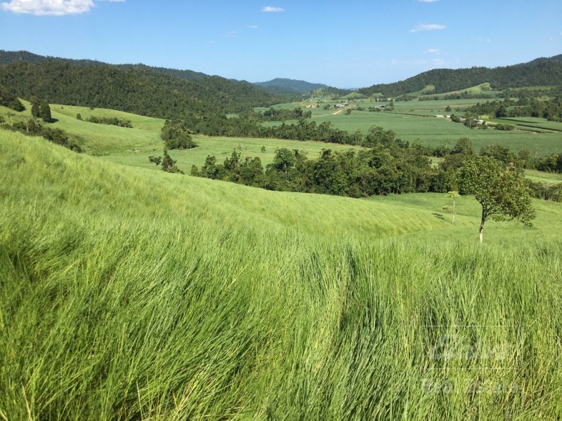 Japoonvale QLD 4856