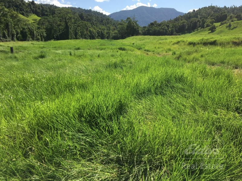 Japoonvale QLD 4856