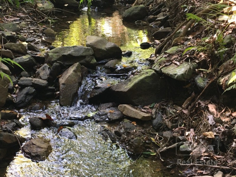 Japoonvale QLD 4856