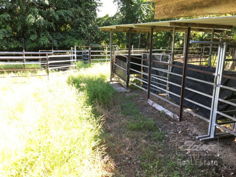 Japoonvale QLD 4856