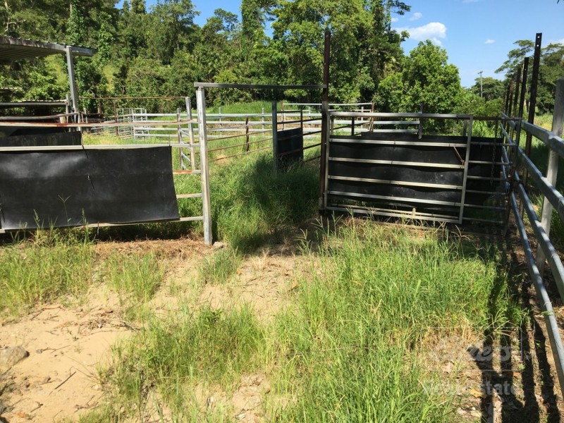 Japoonvale QLD 4856