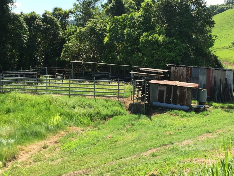 Japoonvale QLD 4856