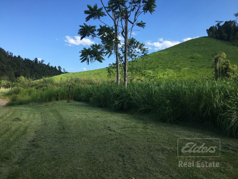 Japoonvale QLD 4856