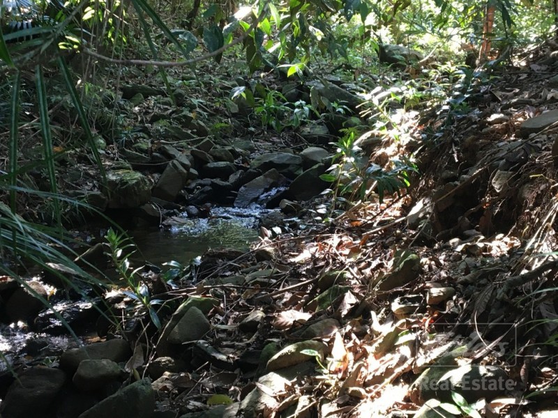 Japoonvale QLD 4856