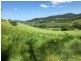 Japoonvale QLD 4856