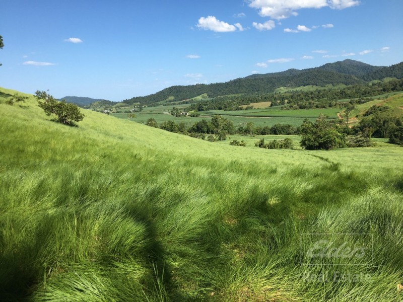 Japoonvale QLD 4856