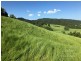 Japoonvale QLD 4856