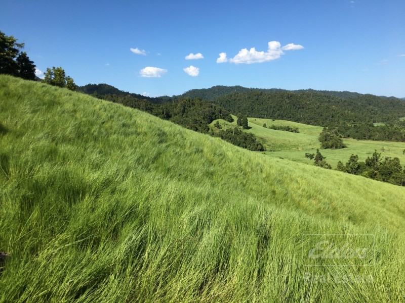 Japoonvale QLD 4856